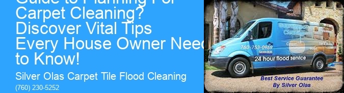 What Is Your Ultimate Guide to Planning For Carpet Cleaning? Discover Vital Tips Every House Owner Needs to Know!