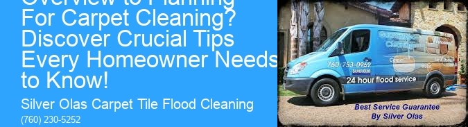 What Is Your Ultimate Overview to Planning For Carpet Cleaning? Discover Crucial Tips Every Homeowner Needs to Know!