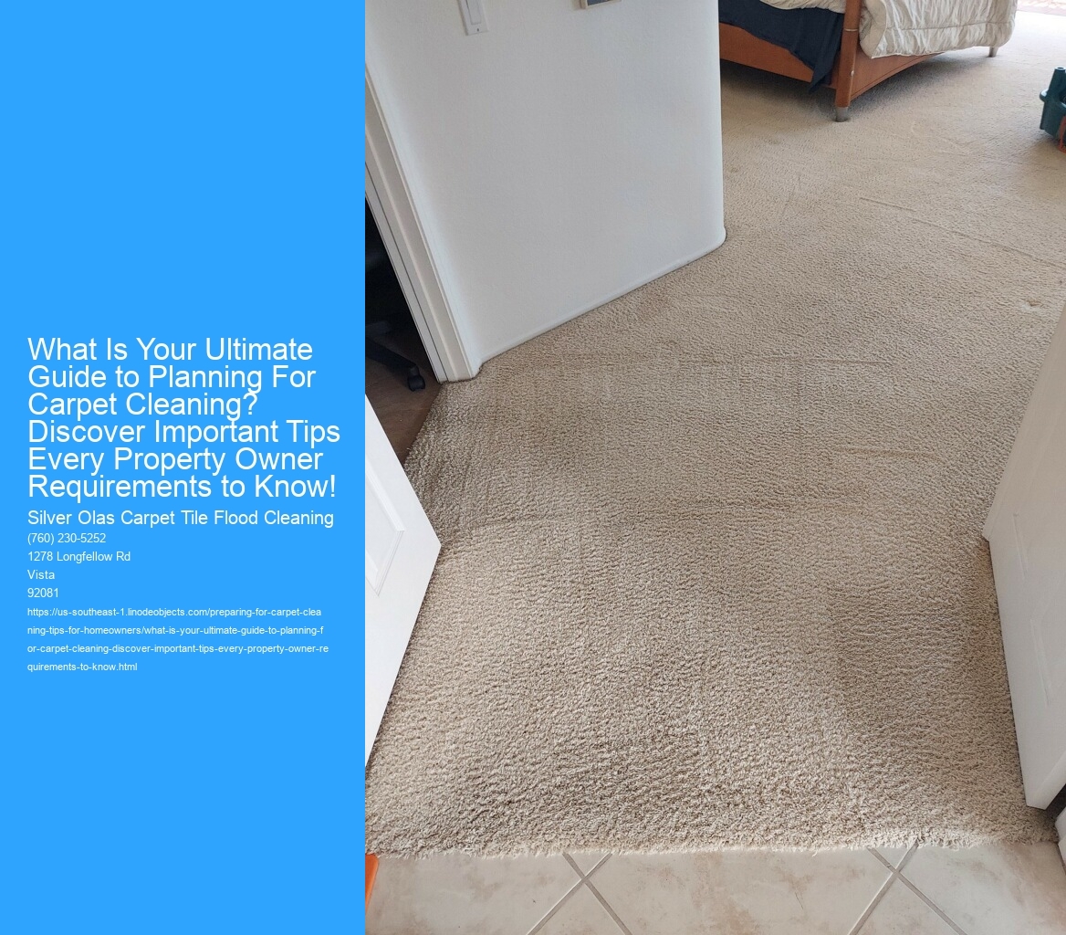 What Is Your Ultimate Guide to Planning For Carpet Cleaning? Discover Important Tips Every Property Owner Requirements to Know!